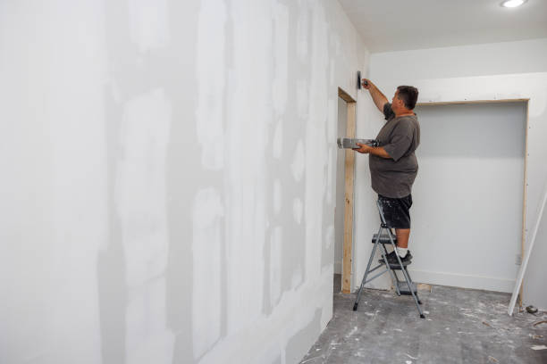 Professional Mold Removal in Zachary, LA