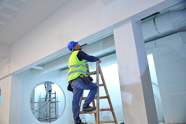 Best Comprehensive Air Testing for Mold Contaminants  in Zachary, LA