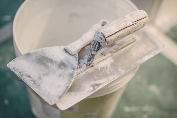 Best Mold Prevention Services  in Zachary, LA